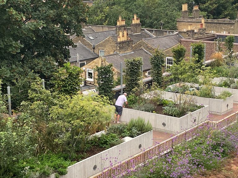 Roof garden of Appleby Blue Almshouse