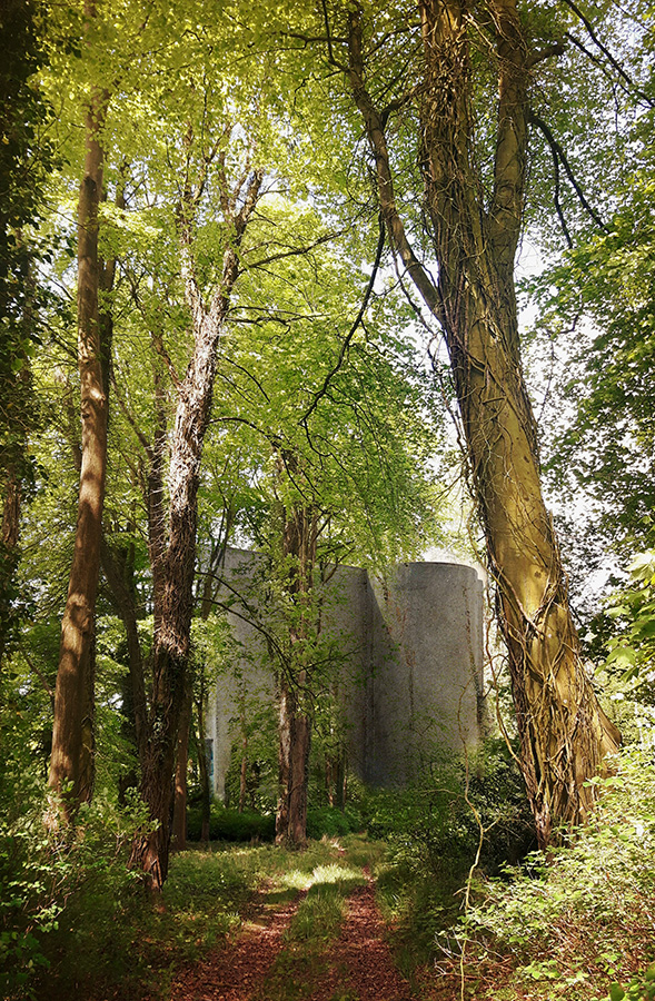 Design of building poking through the trees
