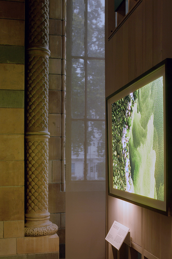 Wildlife Photographer of the Year exhibition at the Natural History Museum