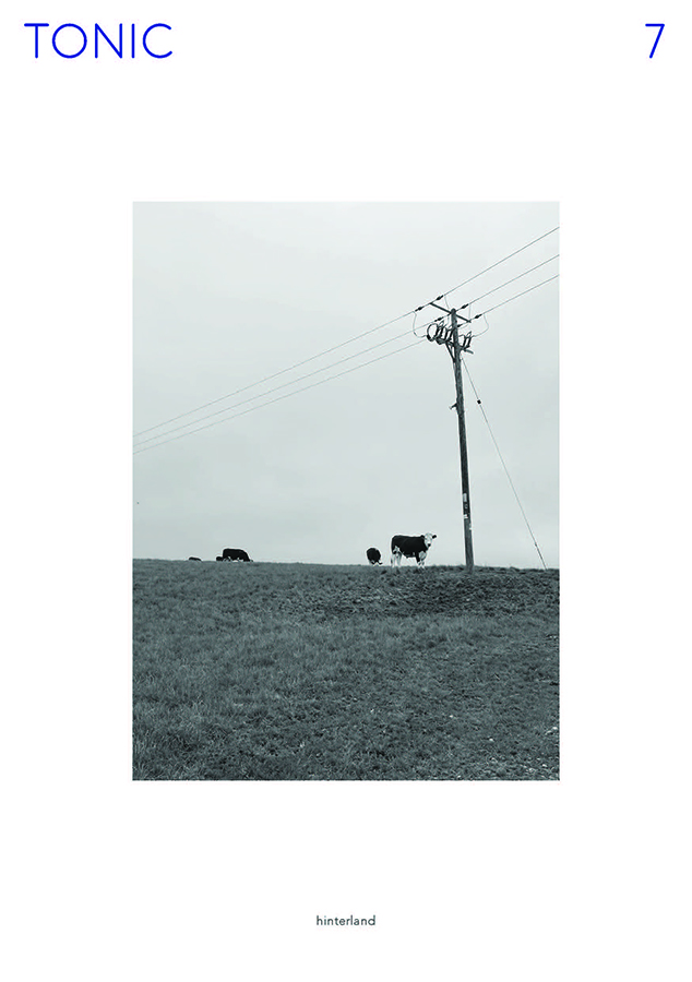 Cover of 'Tonic' with cows standing in field