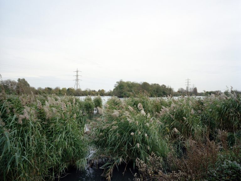 Walthamstow Wetlands, with grass in foreground and pylons in the background
