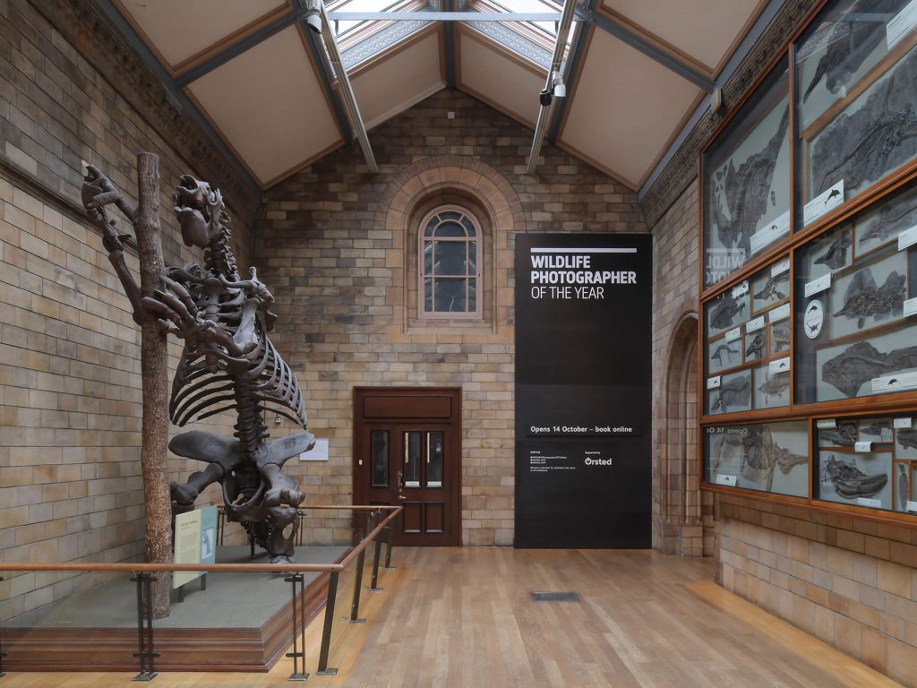 Sign for Wildlife photographer of the year in the Natural History Museum